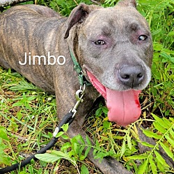 Thumbnail photo of JIMBO #4