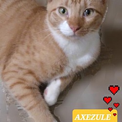 Thumbnail photo of Axezule #3