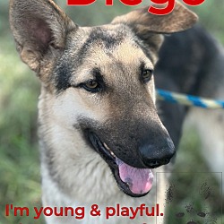 Thumbnail photo of Diego #1