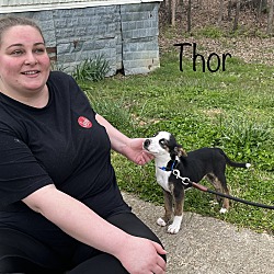 Thumbnail photo of Thor ~ meet me! #3
