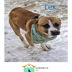 Thumbnail photo of Lex #3