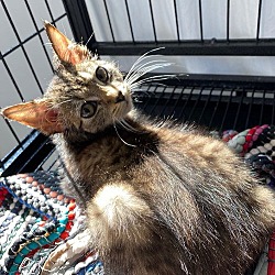 Photo of Wednesday