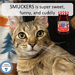 Photo of Smuckers
