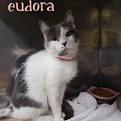 Photo of Eudora