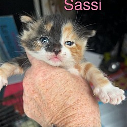 Photo of Sassi