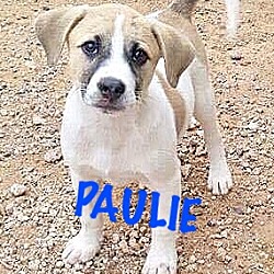 Photo of PAULIE