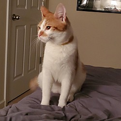 Photo of Captain