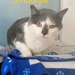 Photo of Smudgie