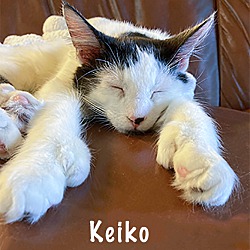 Thumbnail photo of Keiko #4