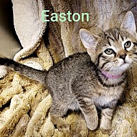 Photo of Easton