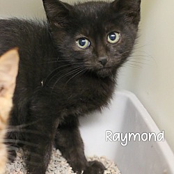Photo of Raymond