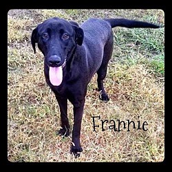 Thumbnail photo of Frannie #1