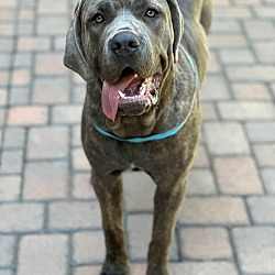 Photo of Greta