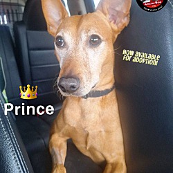 Thumbnail photo of Prince #1