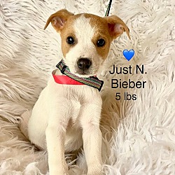 Photo of Just N. Bieber
