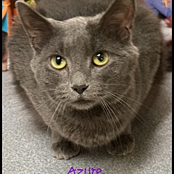 Photo of Azure