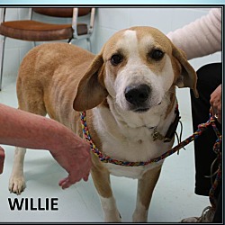 Thumbnail photo of WILLIE #2