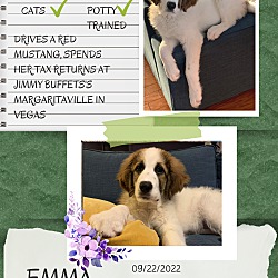 Photo of Emma