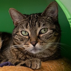 Photo of Persephone