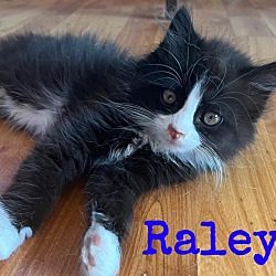 Photo of Raleya