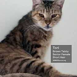 Thumbnail photo of Tori #4