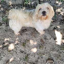 Photo of Max-Sam