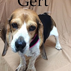 Thumbnail photo of Gert #3