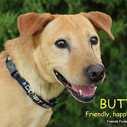 Photo of BUTTERS