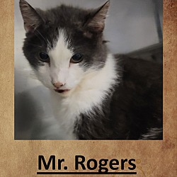 Photo of Mr. Rodgers