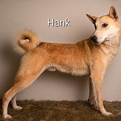 Thumbnail photo of Hank Junior #1
