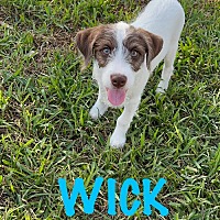 Photo of WICK