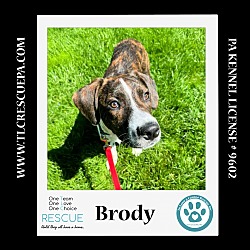 Photo of Brody (New Year's Dears) 010624