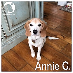 Thumbnail photo of Annie G #1