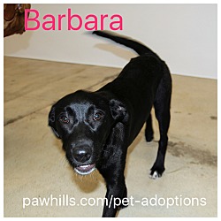 Thumbnail photo of Barbara #2