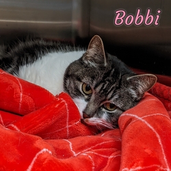 Photo of Bobbi