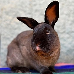 Photo of Ragnar