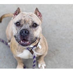 Thumbnail photo of Luisa (Trial adoption) #1