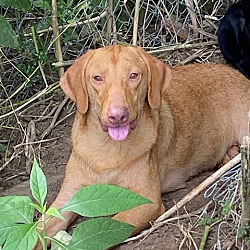 Photo of Frederick - so handsome