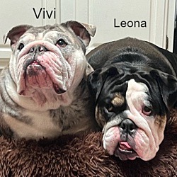 Photo of Vivi and Leona