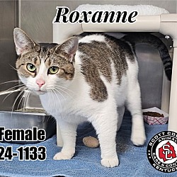 Thumbnail photo of Roxanne #2