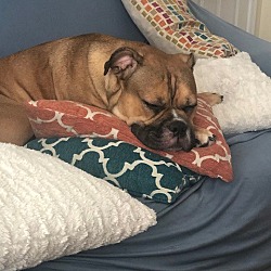 Photo of Coco