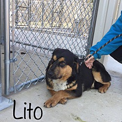 Thumbnail photo of Lito #1