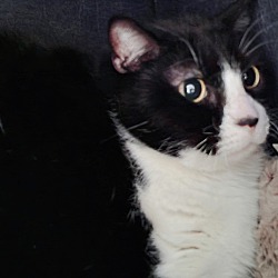Thumbnail photo of Sylvia #1