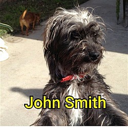 Thumbnail photo of John Smith #4
