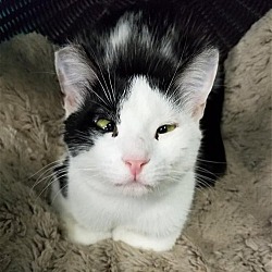 Thumbnail photo of Mae Mae #3