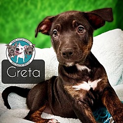 Thumbnail photo of Greta Chai #1