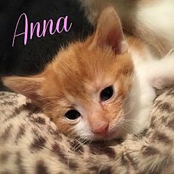 Thumbnail photo of Anna #1