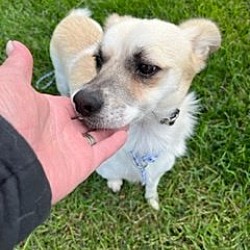 Photo of Casey