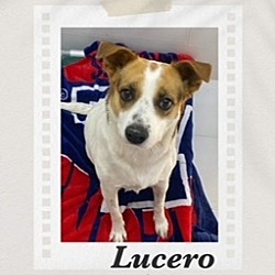Photo of Lucero