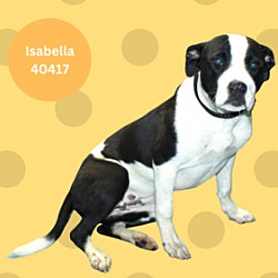 Thumbnail photo of Isabella #1